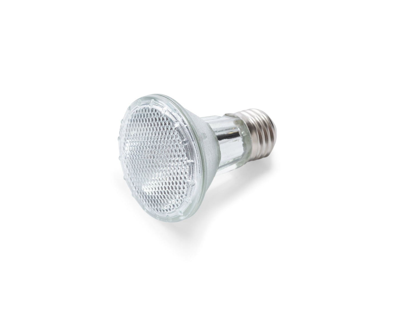 Halogen Bulb (Standard Edison Base)